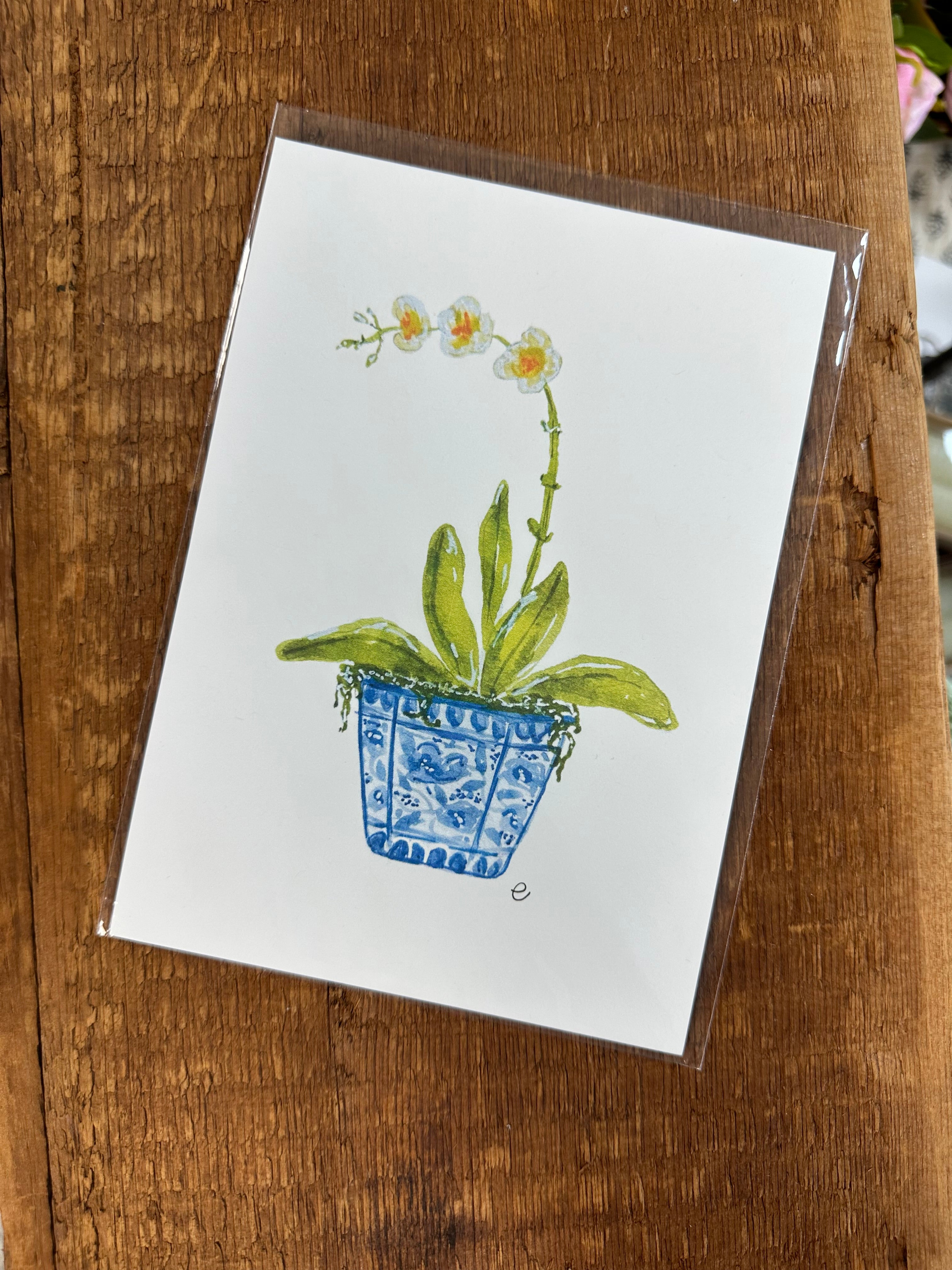 Orchid Art Print