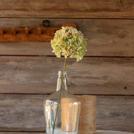 24 in. Hydrangea Stem