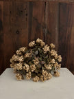 10 in. Bloomer Half Sphere Sphere 