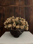 10 in. Bloomer Half Sphere Sphere Beige 