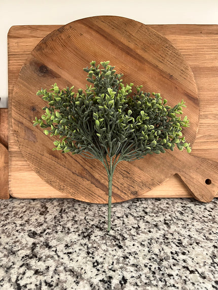 10 in. Boxwood Bush Bush 