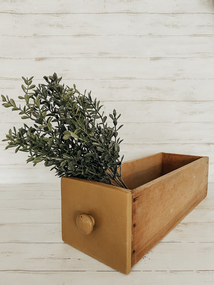 12 in. Green New England Boxwood Bush Bush 