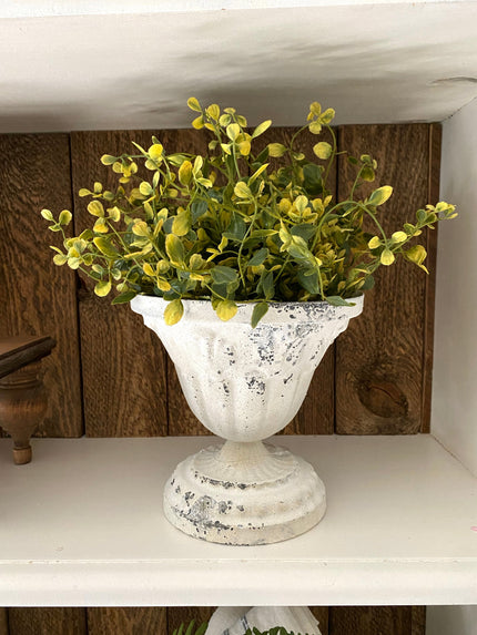 12 in. Green Pimpernel Half Sphere Sphere 