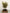 14 in. New Green Baby's Grass Bush Bush 