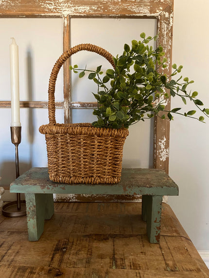 14 in. Seraph Vine Bush Bush 