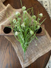 17.5 in. Cut Clove Bush Bush 
