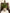 18 in. Carlisle Eucalyptus Bush Bush 