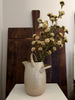 22 in. Ellijay Bush Bush Beige 