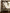 37 in. Bloomer Hanging Garland Sphere Beige 