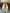 4 Ft. Tanglewood Garland Garland 