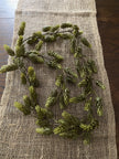 5 ft. Green Hops Garland Garland 