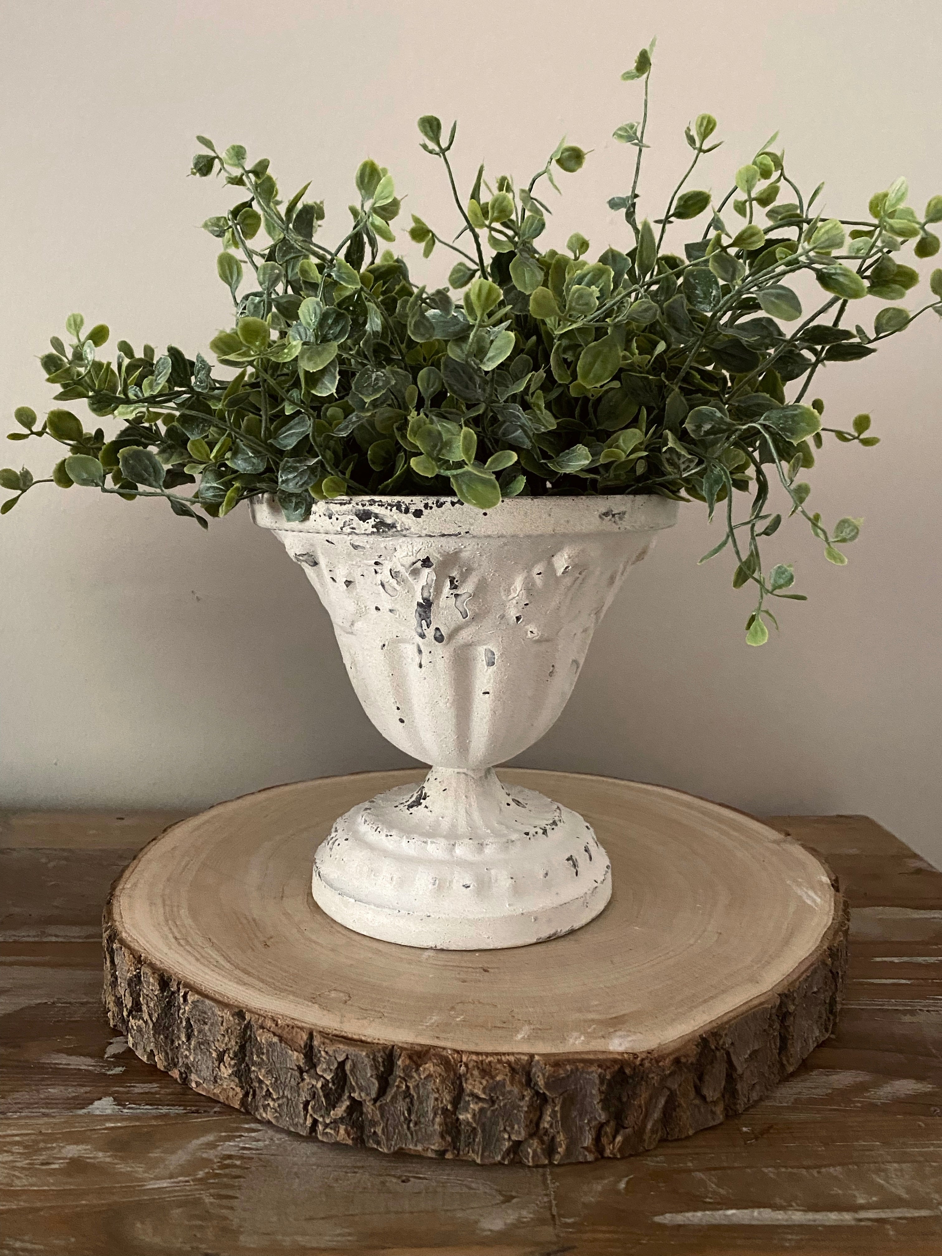 6 in. Vivian Urn Urn 
