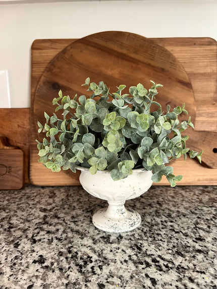 9 in. Eucalyptus Half Sphere Sphere 