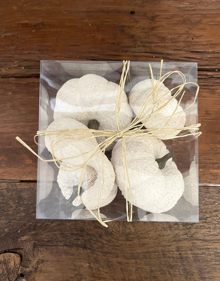 Full Moon Pumpkin Set Filler 