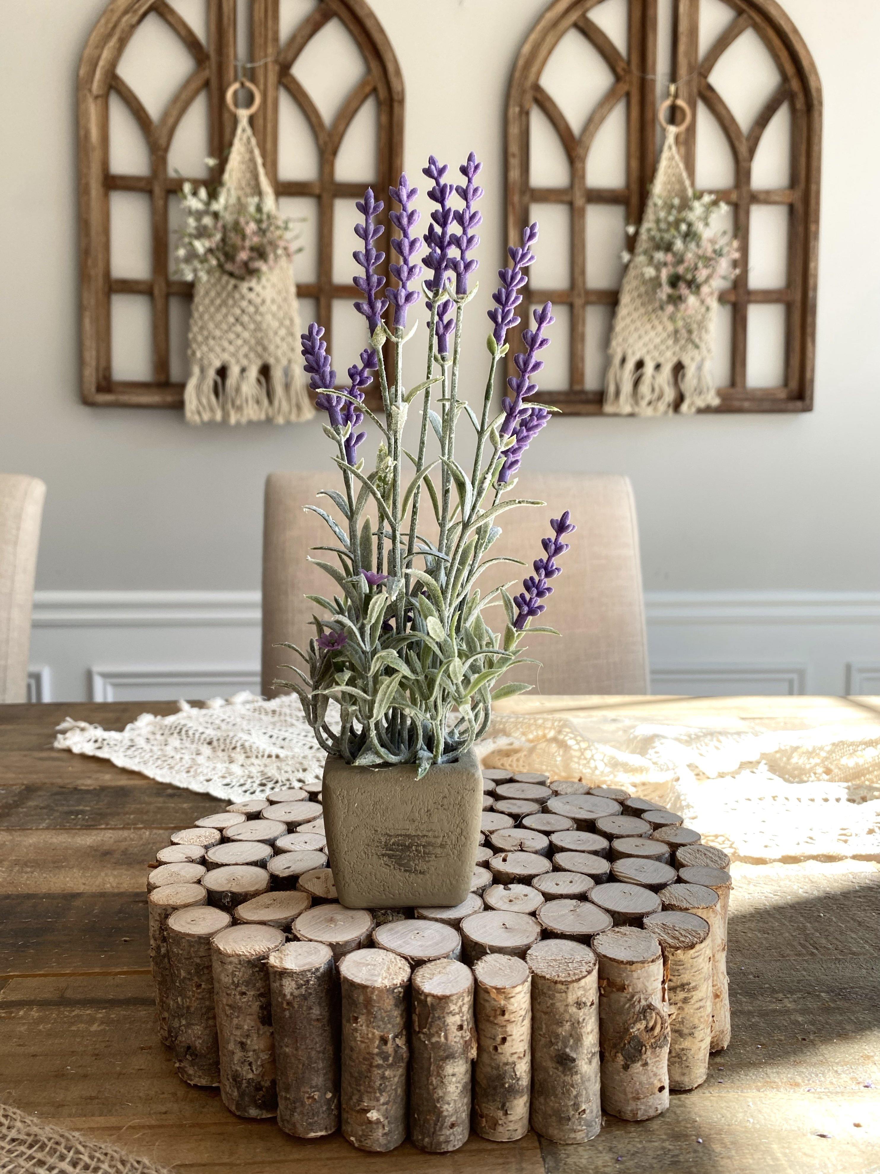 Lavender Pot Plant 