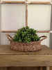 Natural Woven Seagrass Basket Set Basket 