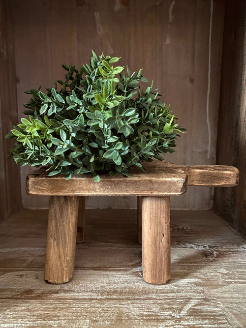 New England Boxwood Half Sphere Sphere 