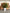 Woodland Greens Floral Pot Plant 